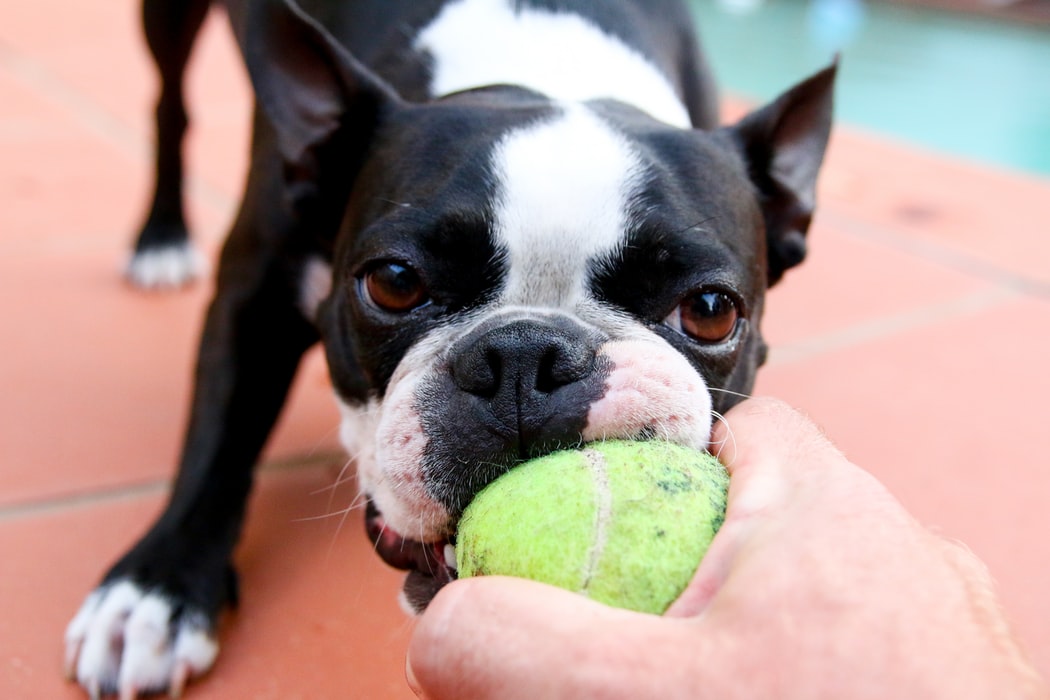 Ambidextrous Tennis